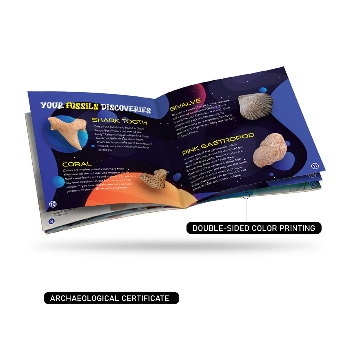 PLANET EXPLORE EARTH BIG TREASURES DIG SITE