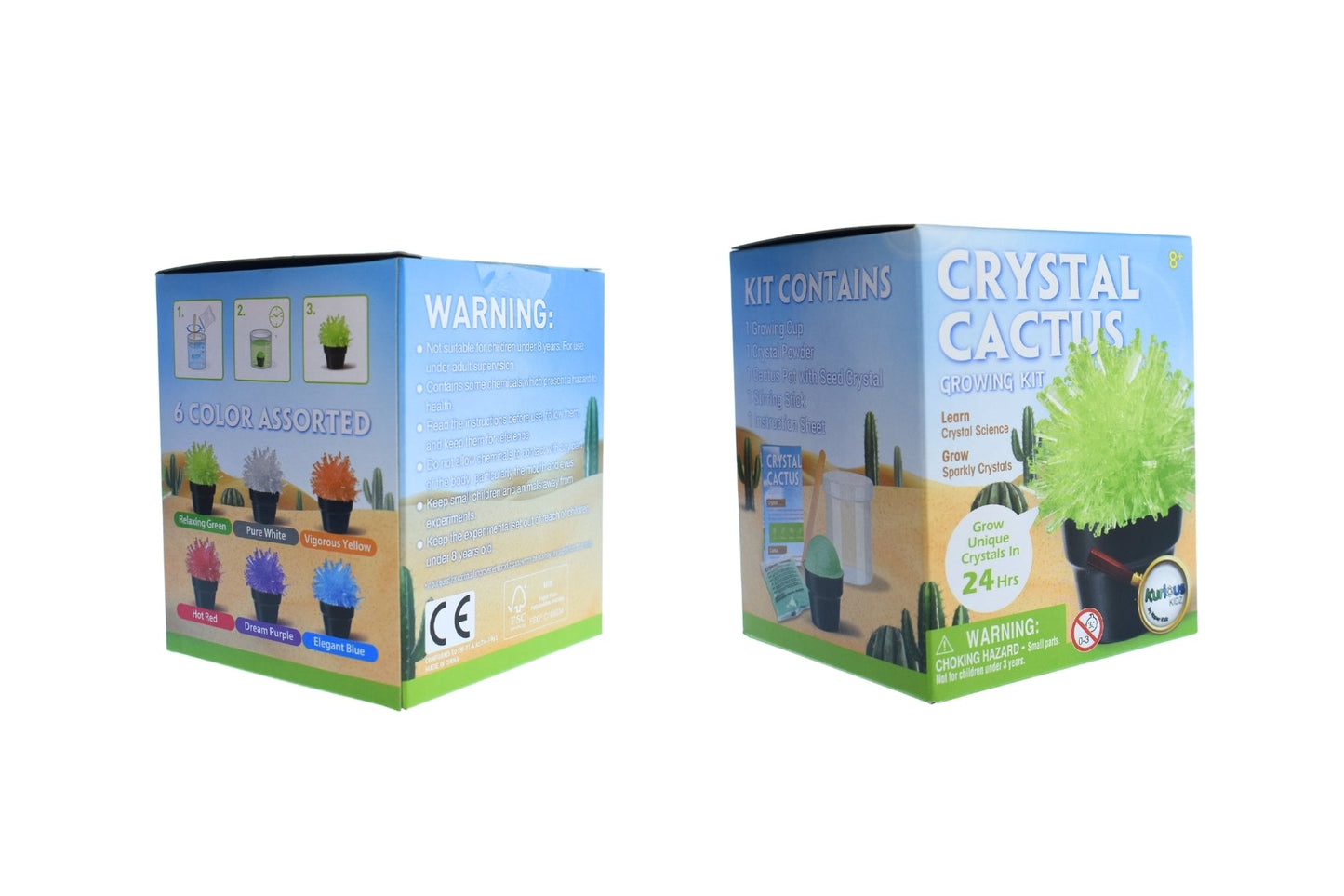 CRYSTAL CACTUS MINI KIT SET OF 6 - Bamboo Sprout