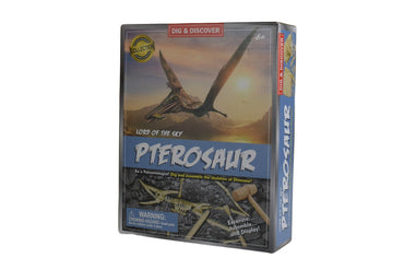 DIG & DISCOVER PTEROSAUR DIG KITS - Bamboo Sprout