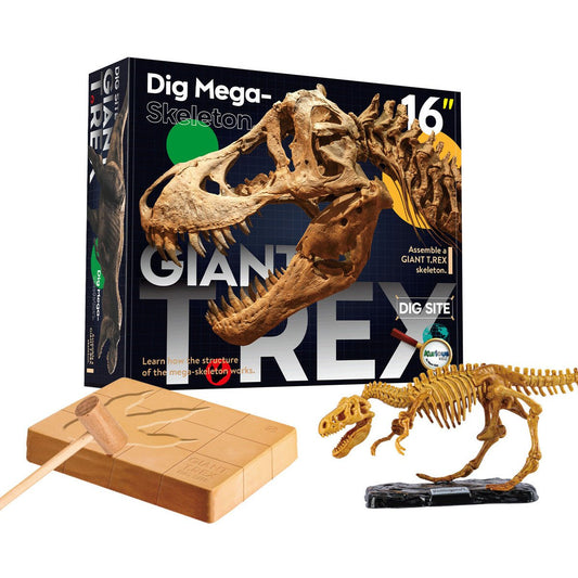 GIANT T - REX DIG SITE - Bamboo Sprout