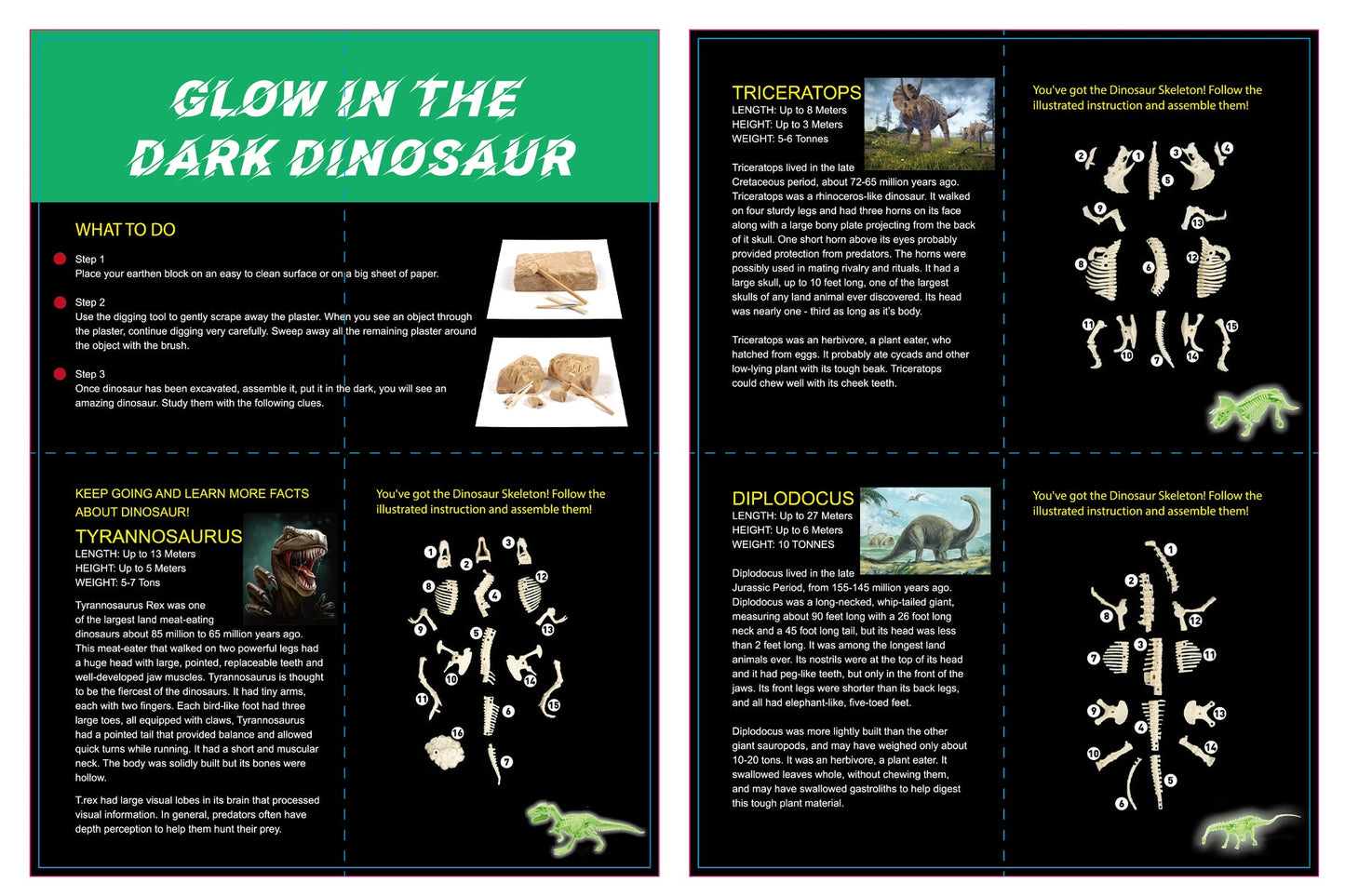 GLOW IN THE DARK TYRANNOSAURUS EXCAVATION KIT - Bamboo Sprout