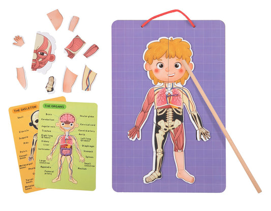 MAGNETIC BODY CHART - Bamboo Sprout
