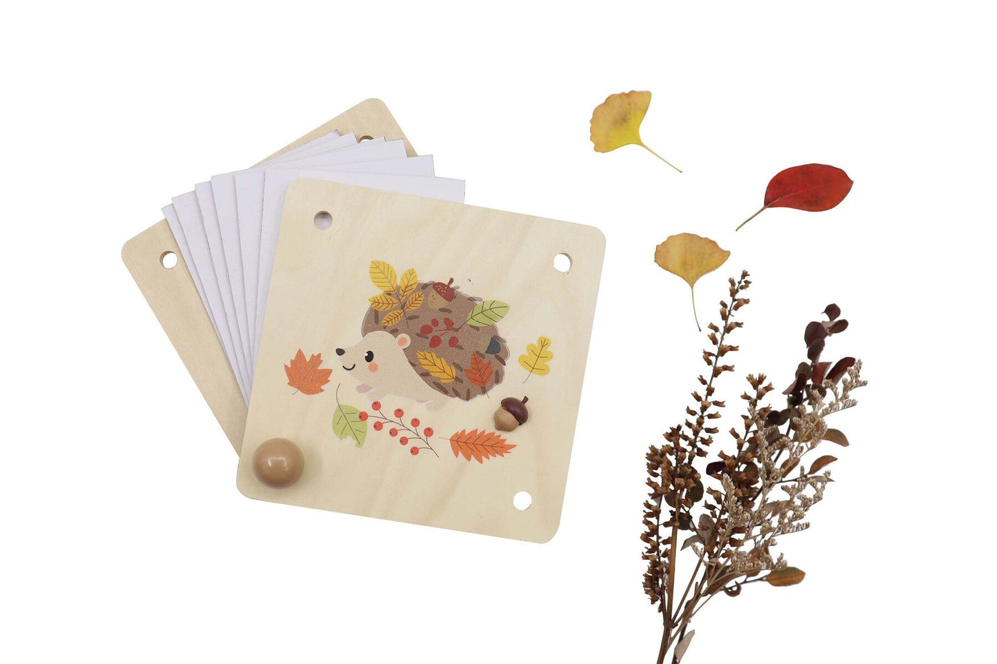 CALM & BREEZY FLOWER PRESS ECHIDNA CRAFT KIT - Bamboo Sprout