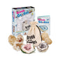 BREAK YOUR OWN GEODES KIT - Bamboo Sprout