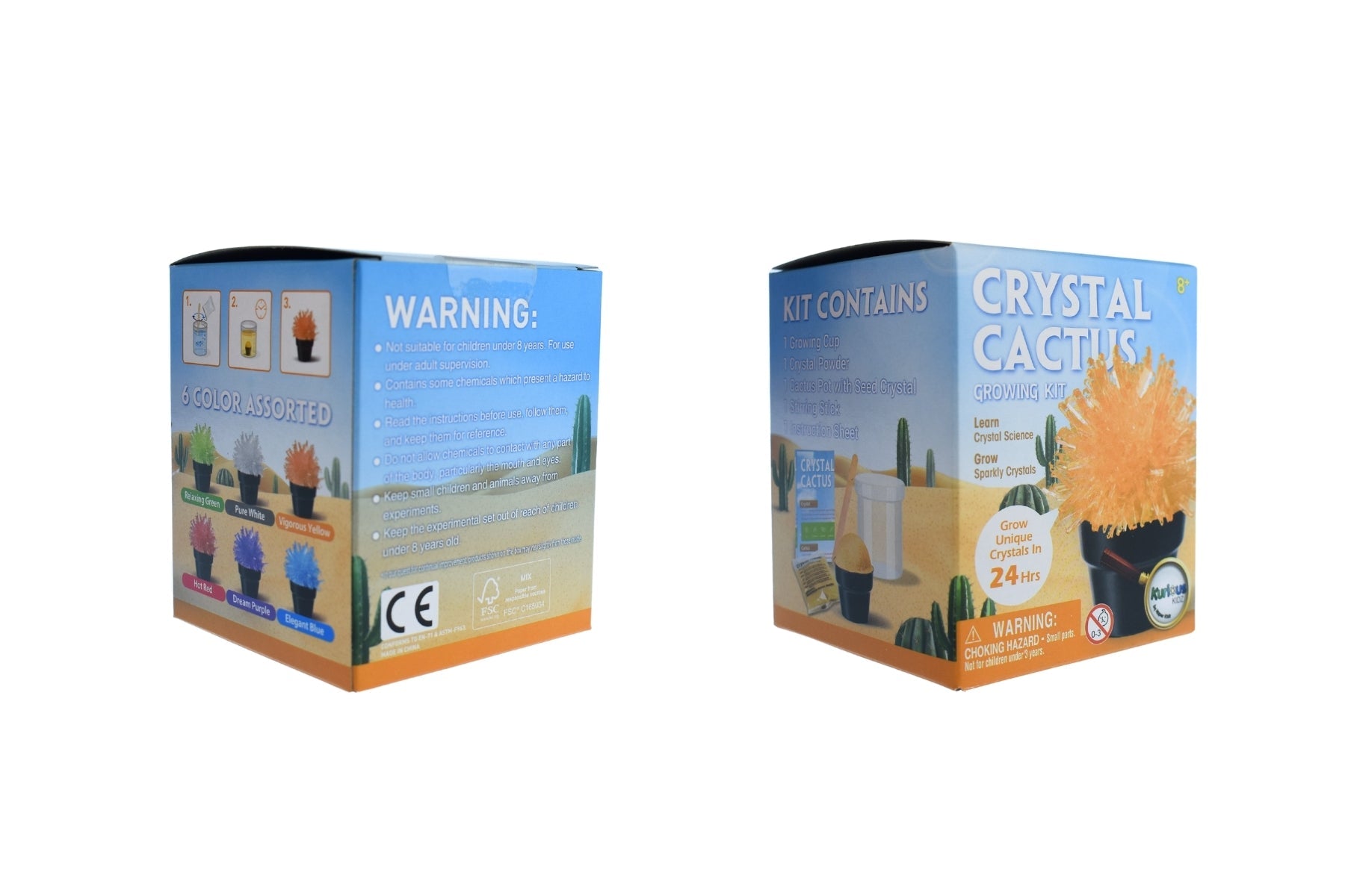 CRYSTAL CACTUS MINI KIT - Bamboo Sprout