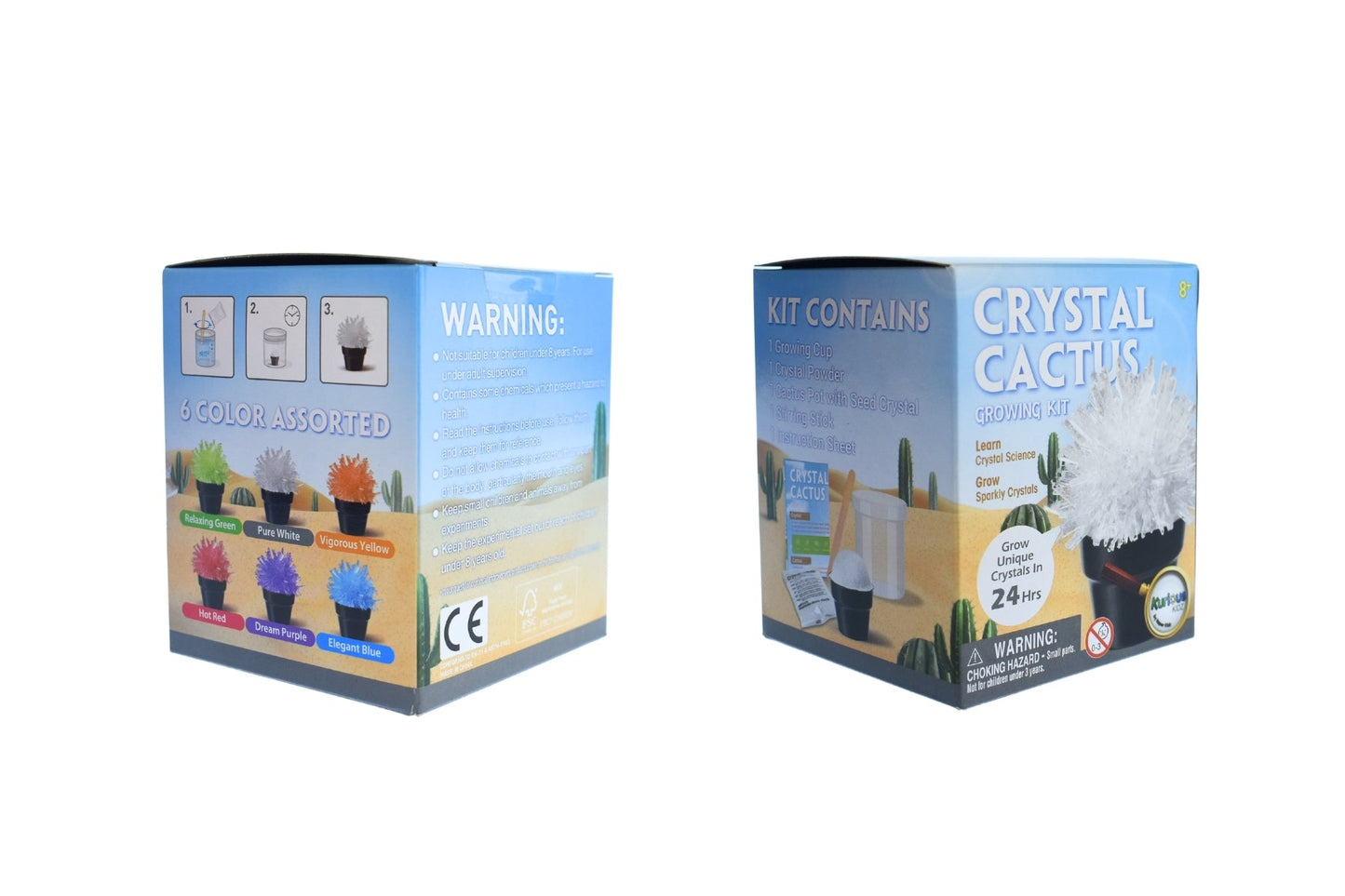 CRYSTAL CACTUS MINI KIT - Bamboo Sprout