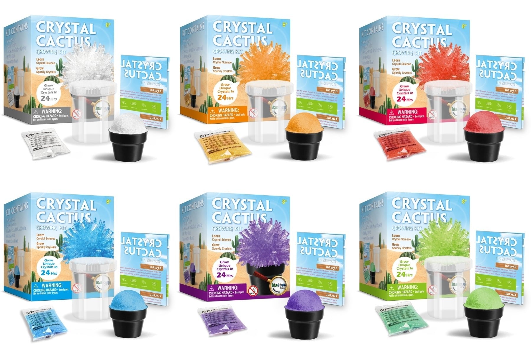CRYSTAL CACTUS MINI KIT SET OF 6 - Bamboo Sprout