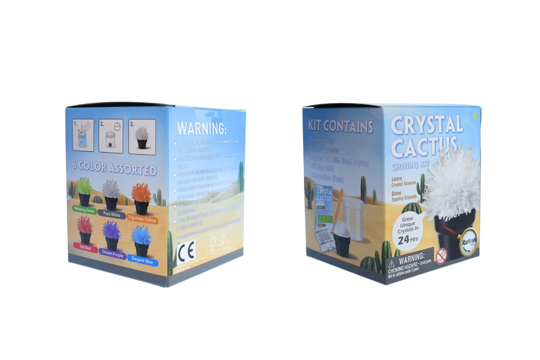 CRYSTAL CACTUS MINI KIT SET OF 6 - Bamboo Sprout