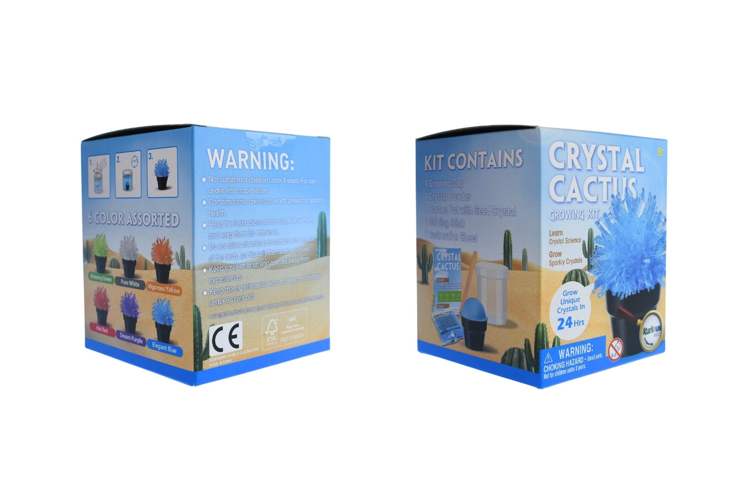 CRYSTAL CACTUS MINI KIT SET OF 6 - Bamboo Sprout