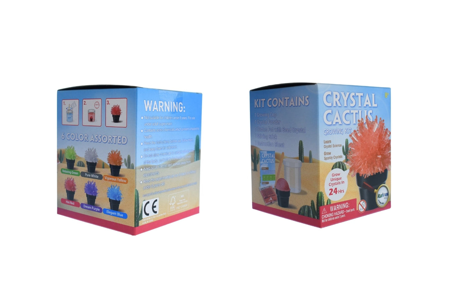 CRYSTAL CACTUS MINI KIT SET OF 6 - Bamboo Sprout