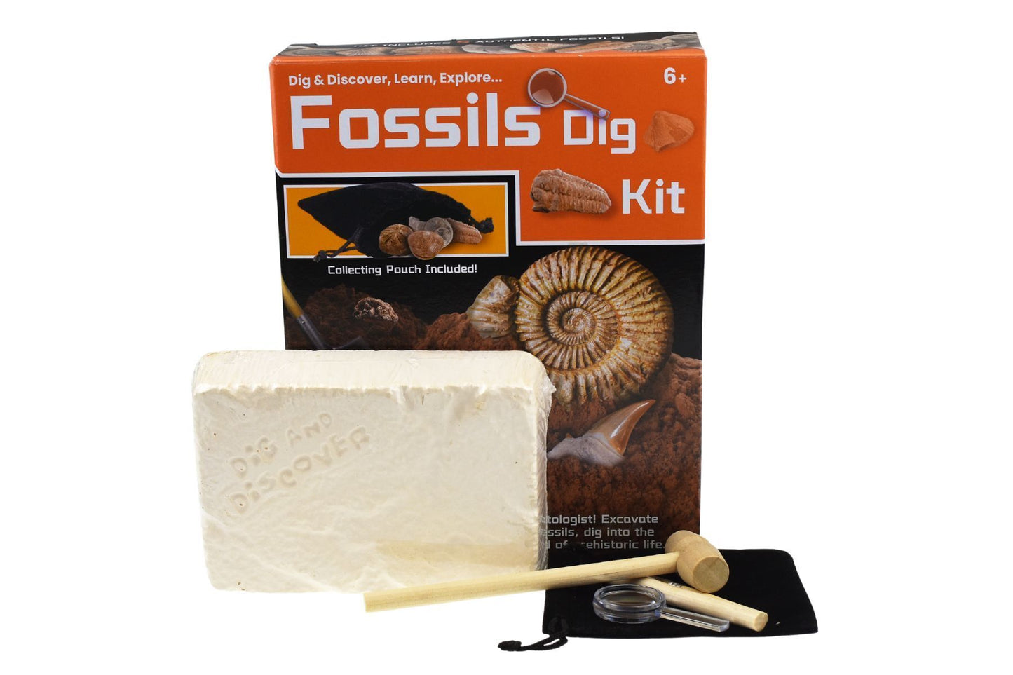 DIG & DISCOVER FOSSILS DIG KIT - Bamboo Sprout