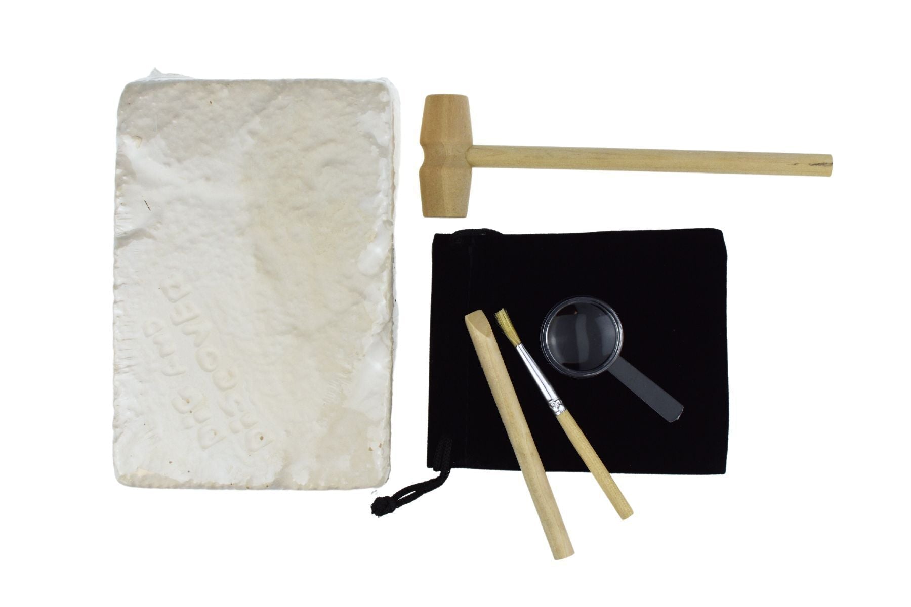 DIG & DISCOVER FOSSILS DIG KIT - Bamboo Sprout
