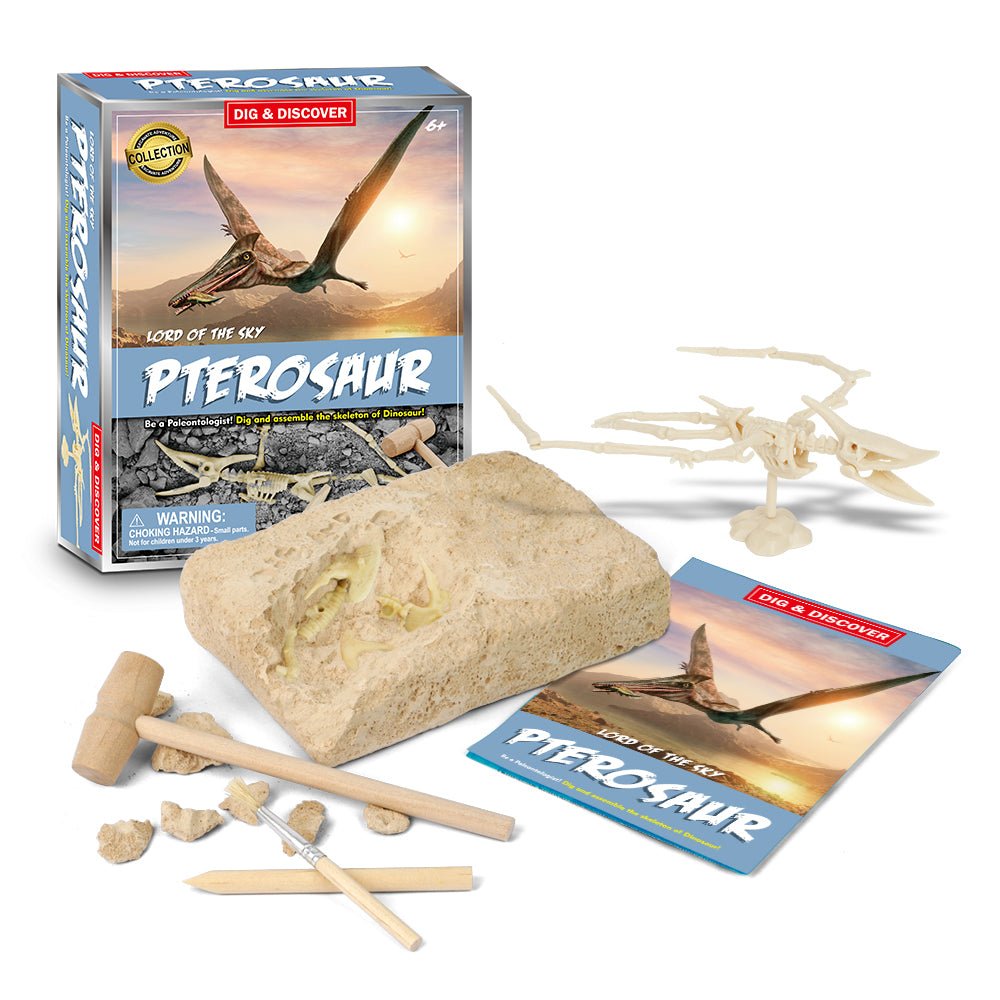DIG & DISCOVER PTEROSAUR DIG KITS - Bamboo Sprout