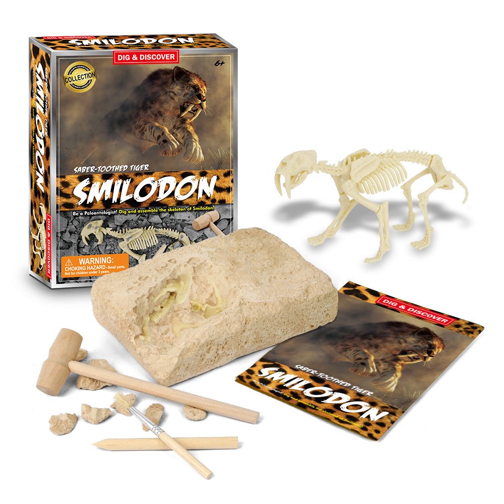 DIG & DISCOVER SABER - TOOTHED TIGER DIG KITS - Bamboo Sprout