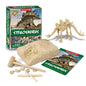 DIG & DISCOVER STEGOSAURUS DIG KITS - Bamboo Sprout