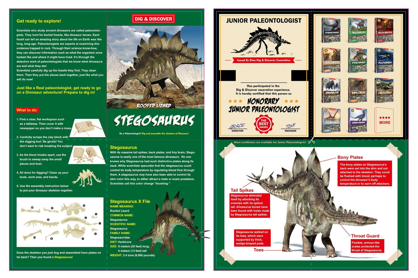 DIG & DISCOVER STEGOSAURUS DIG KITS - Bamboo Sprout