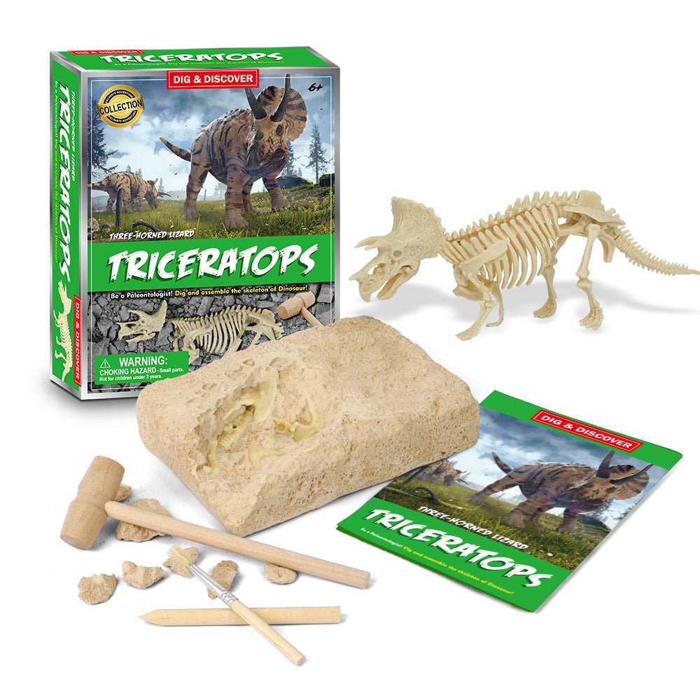 DIG & DISCOVER TRICERATOPS DIG KITS - Bamboo Sprout