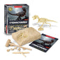 DIG & DISCOVER TYRANNOSAURUS DIG KITS - Bamboo Sprout