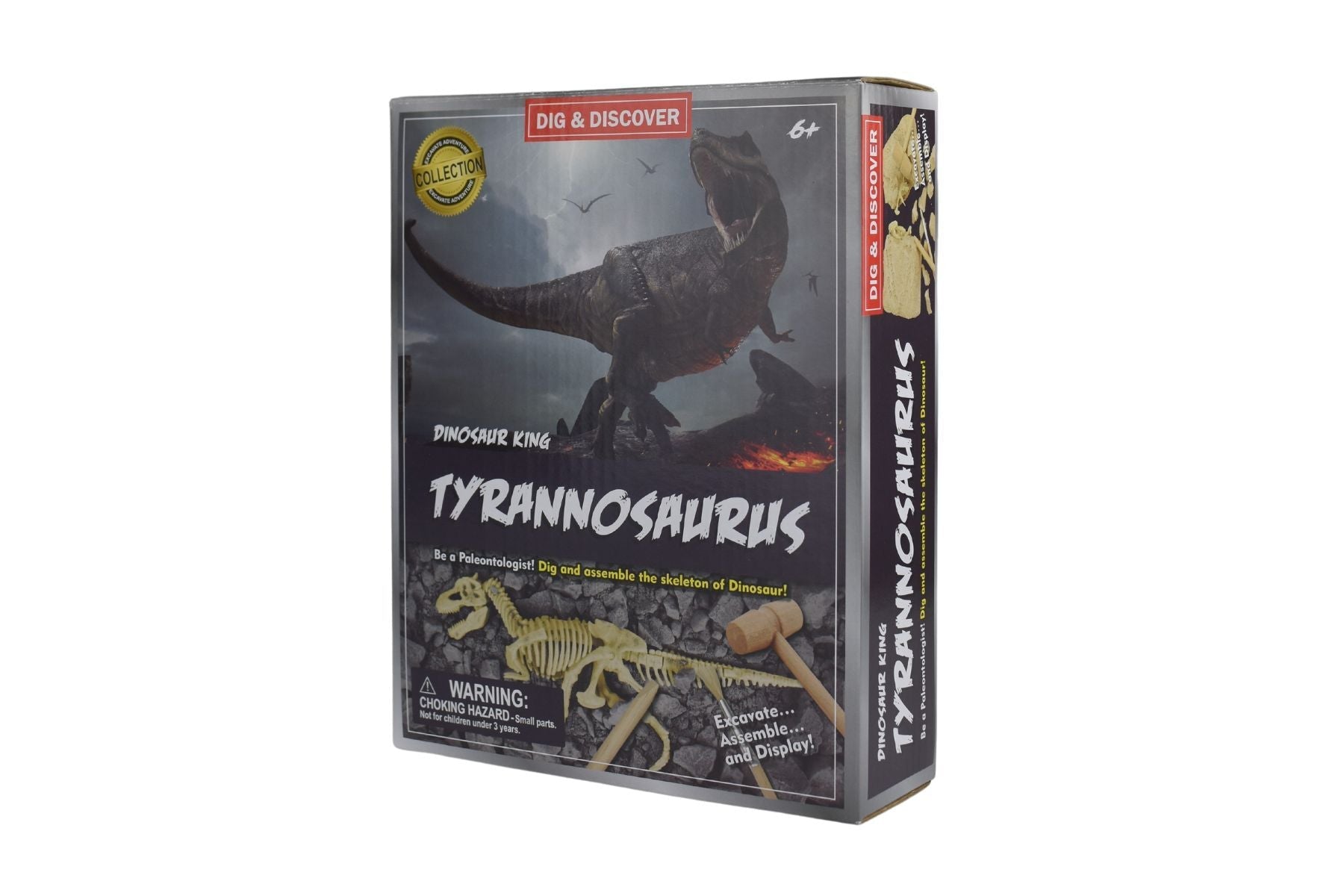 DIG & DISCOVER TYRANNOSAURUS DIG KITS - Bamboo Sprout