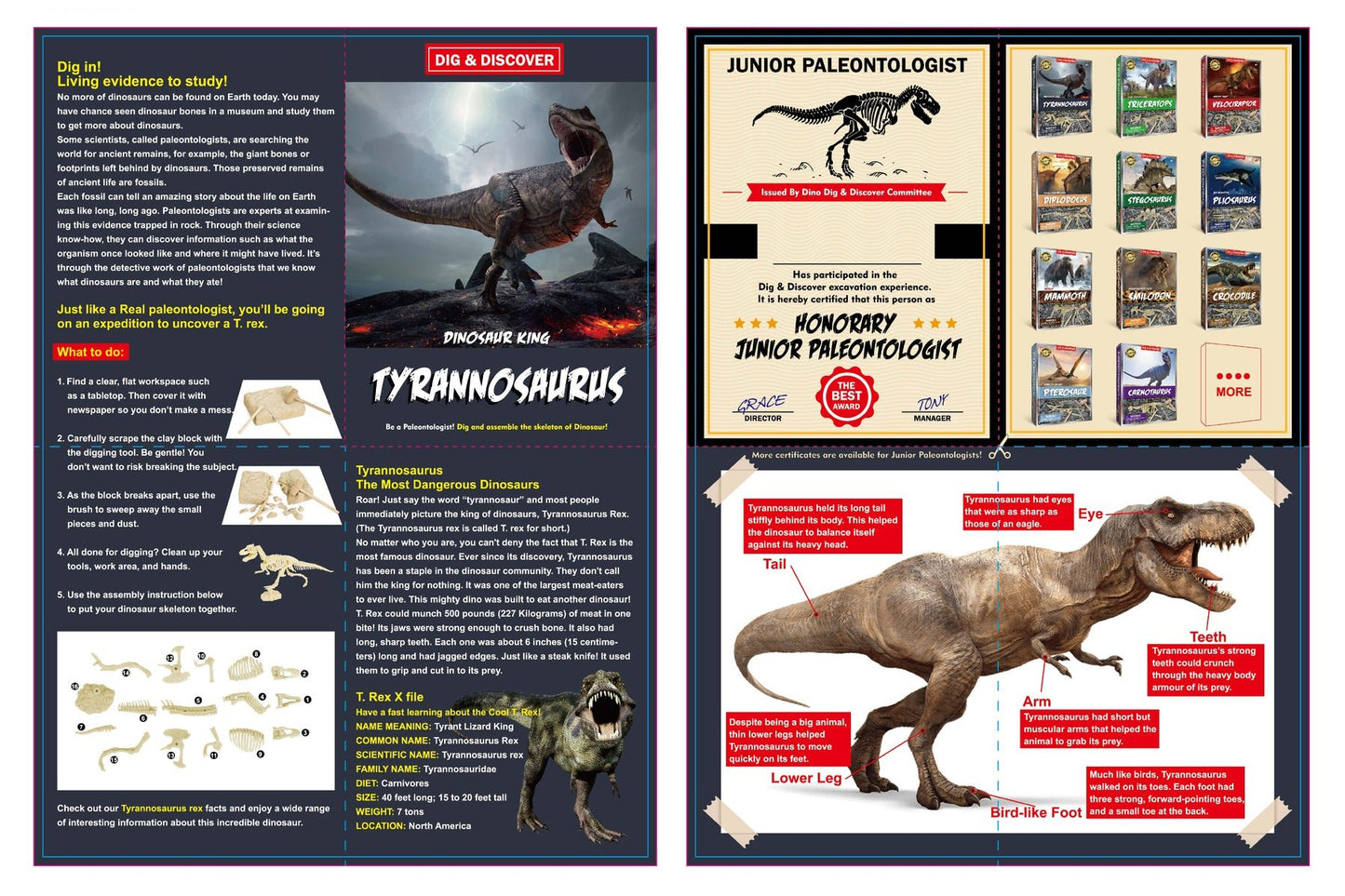 DIG & DISCOVER TYRANNOSAURUS DIG KITS - Bamboo Sprout