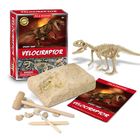 DIG & DISCOVER VELOCIRAPTOR DIG KITS - Bamboo Sprout
