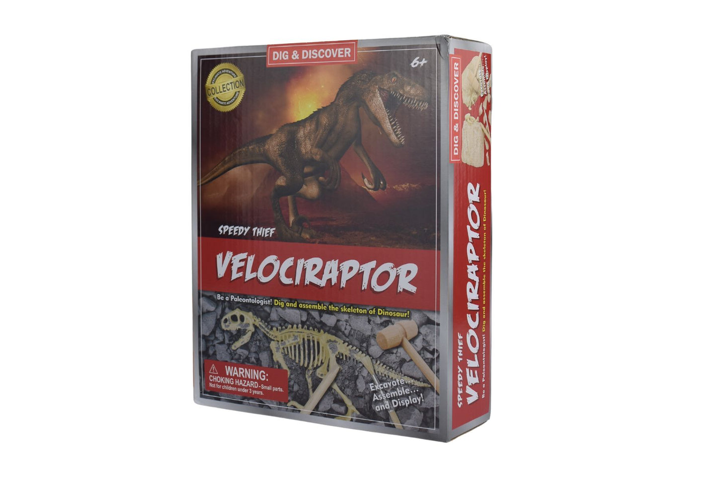 DIG & DISCOVER VELOCIRAPTOR DIG KITS - Bamboo Sprout