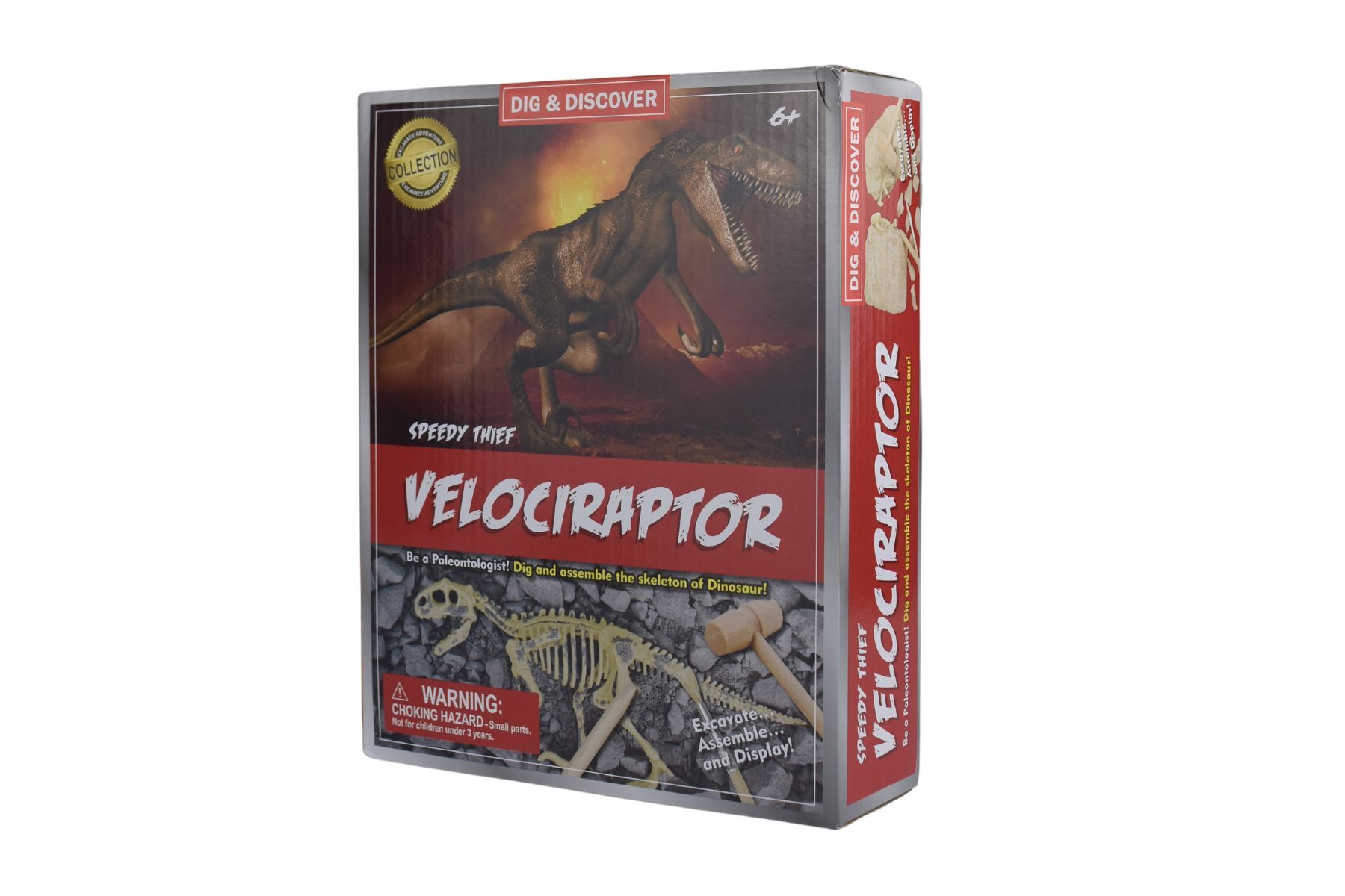 DIG & DISCOVER VELOCIRAPTOR DIG KITS - Bamboo Sprout