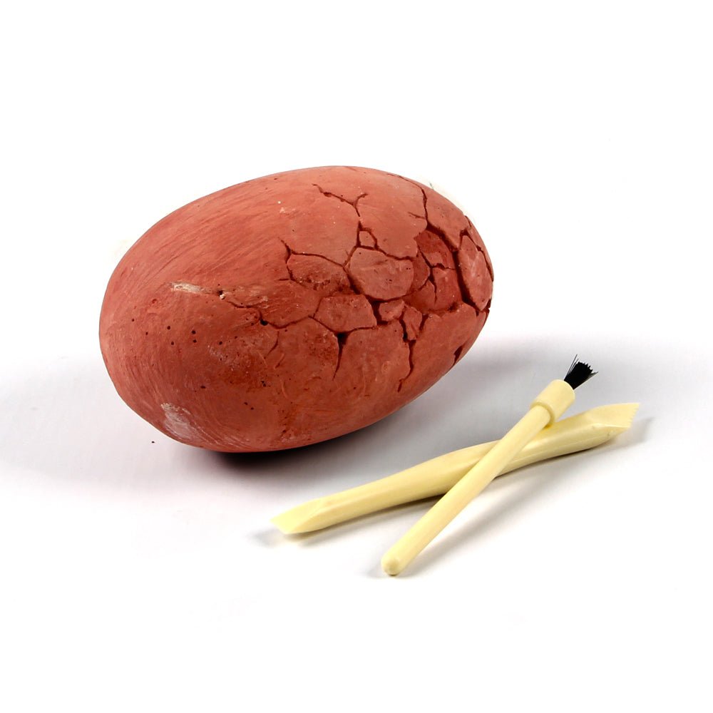 DINO EGG MINI EXCAVATION KIT RAMDOM PICK - Bamboo Sprout