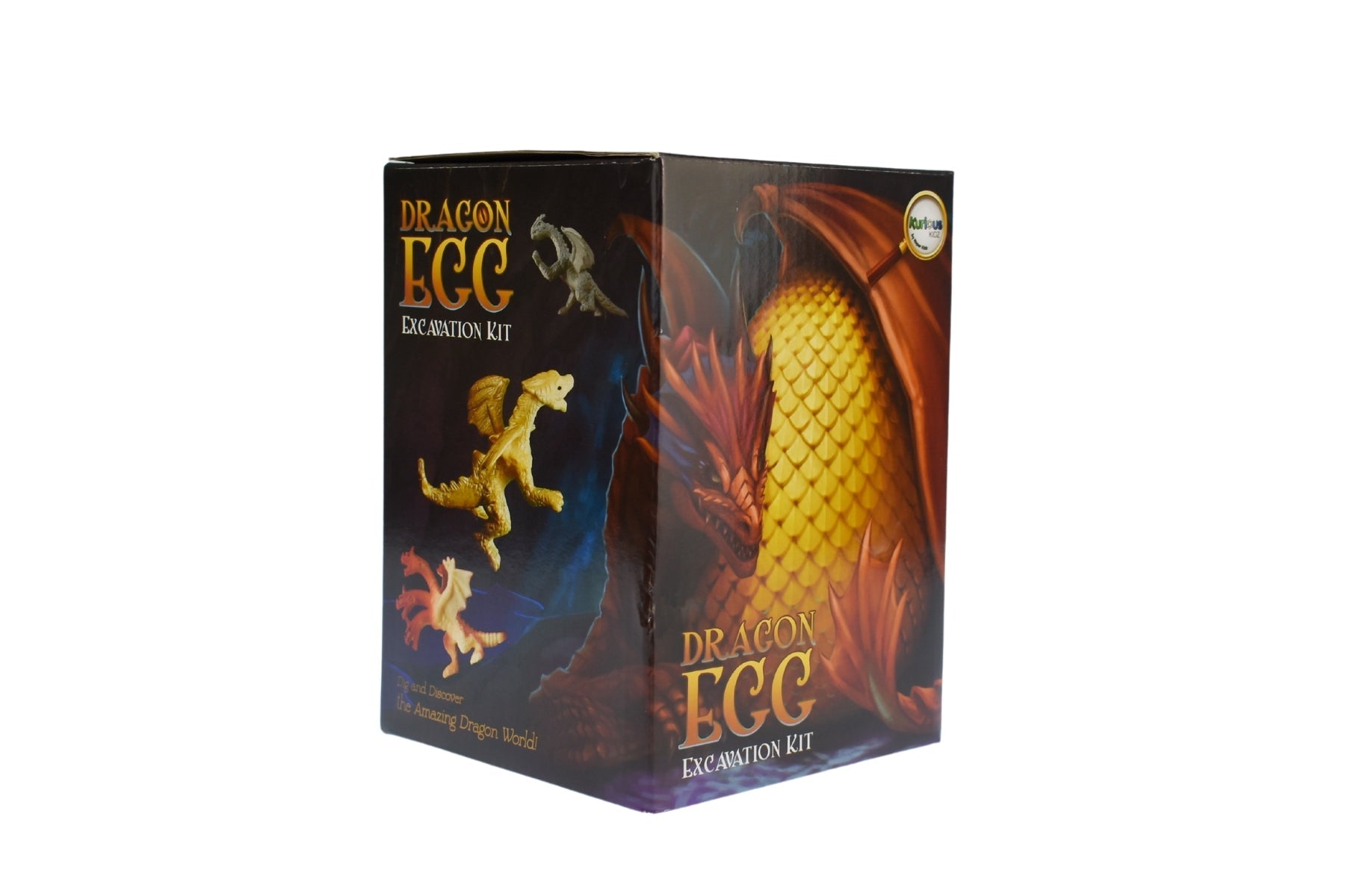 DRAGON EGG - LARGE DIG KIT - Bamboo Sprout