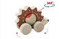 ECO PLAY PUSH A LONG SPINNING HEDGEHOG - Bamboo Sprout