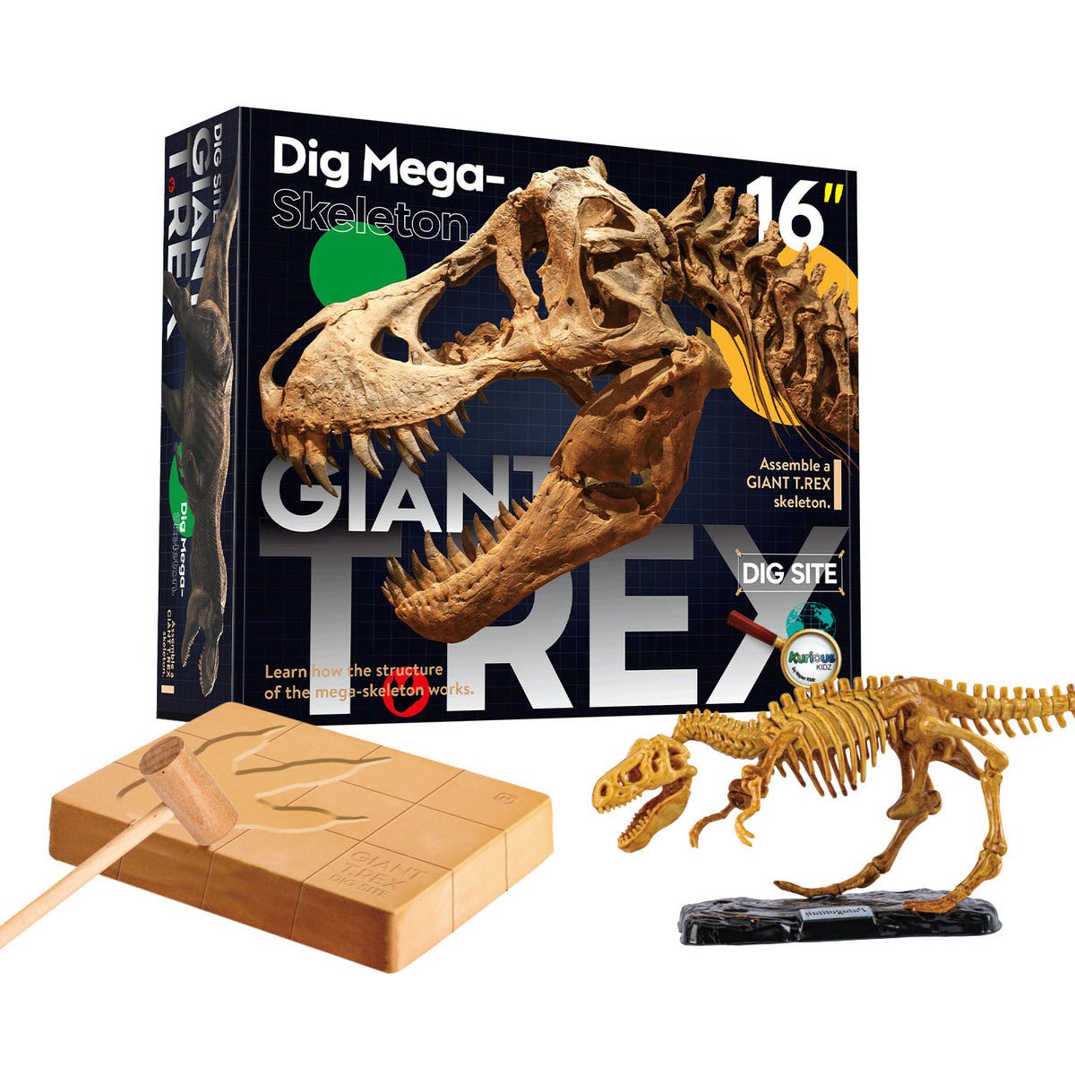 GIANT T - REX DIG SITE - Bamboo Sprout