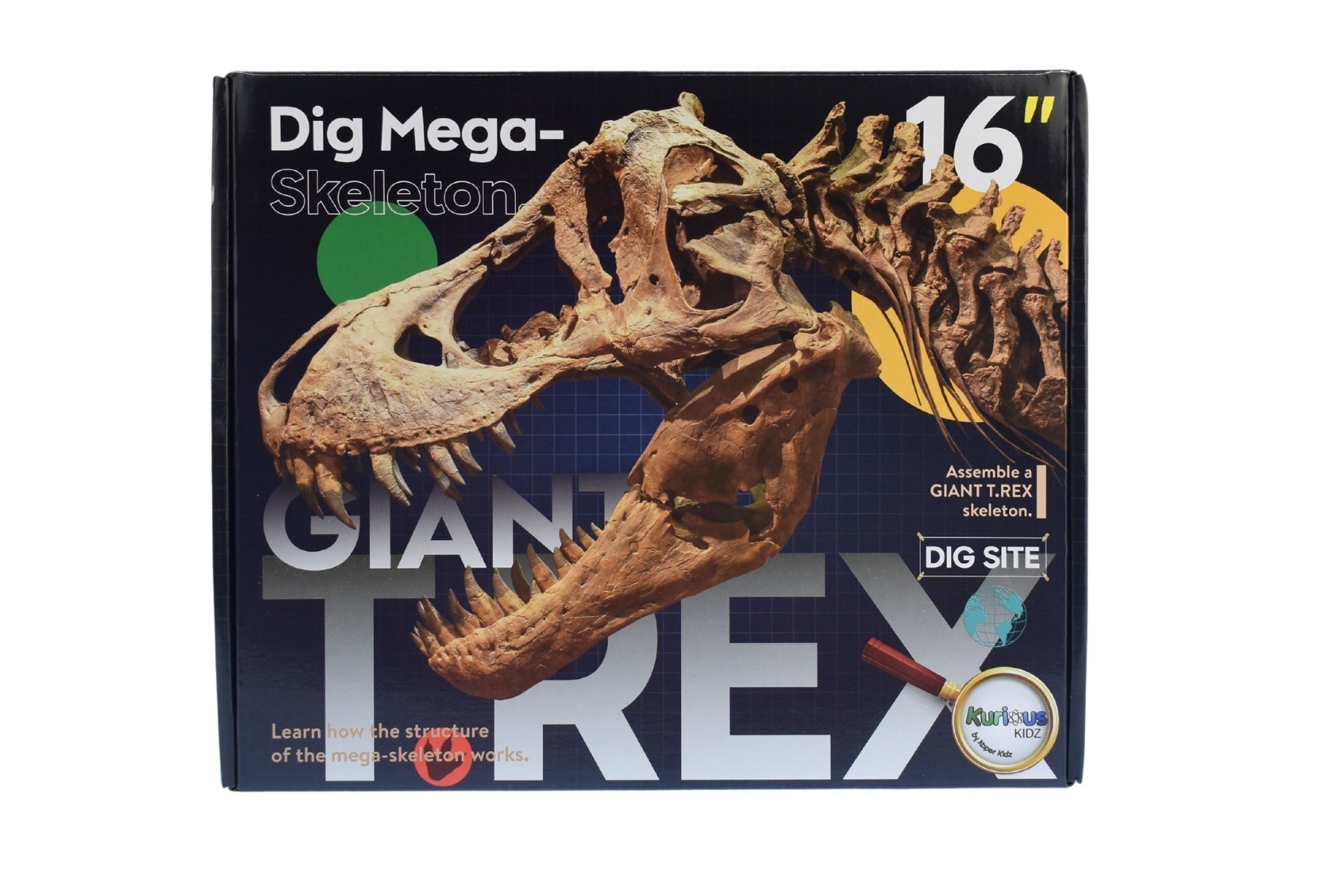 GIANT T - REX DIG SITE - Bamboo Sprout