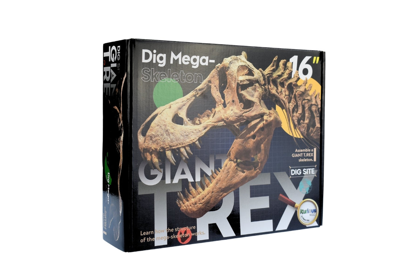 GIANT T - REX DIG SITE - Bamboo Sprout