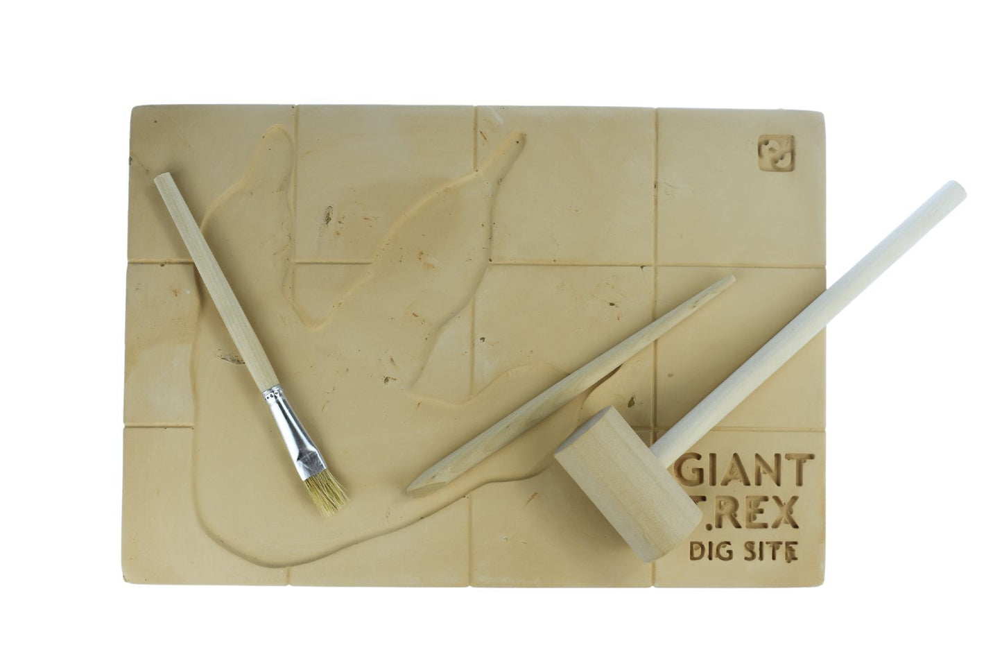 GIANT T - REX DIG SITE - Bamboo Sprout