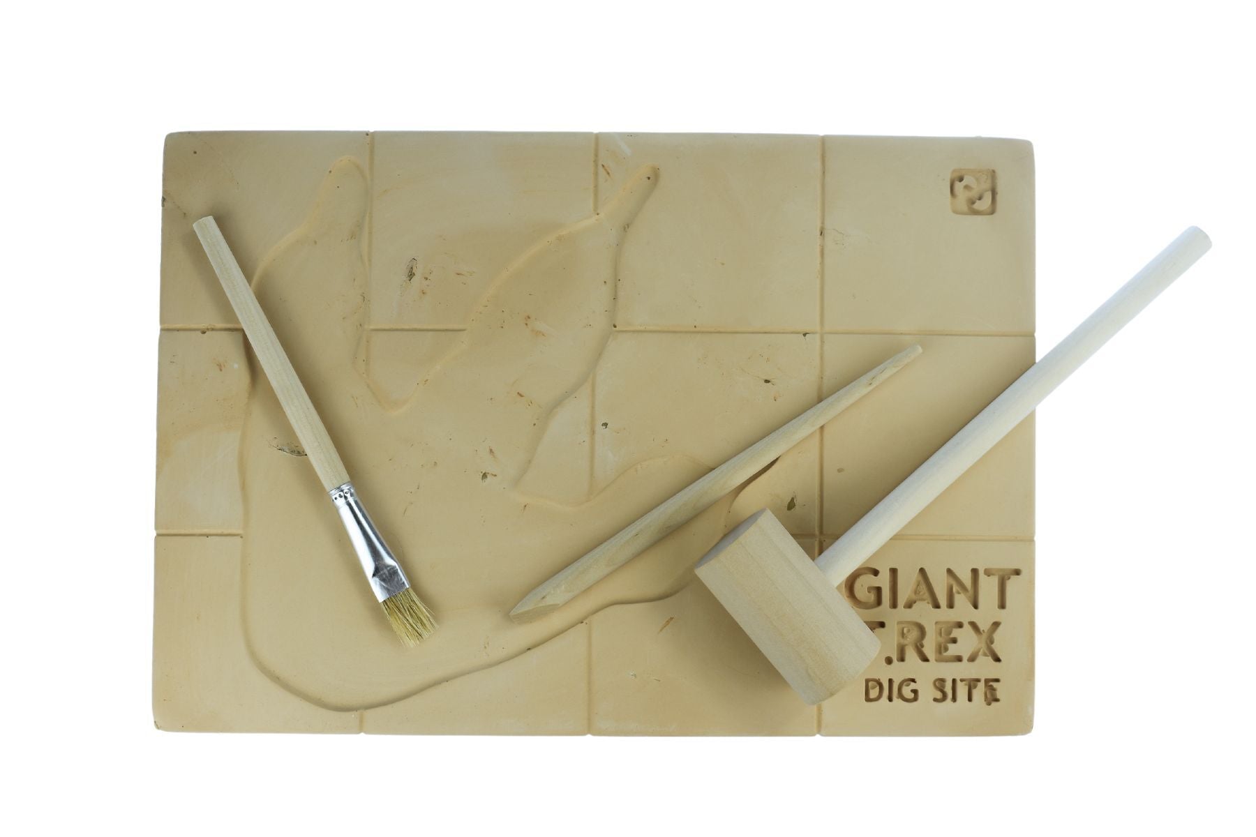 GIANT T - REX DIG SITE - Bamboo Sprout