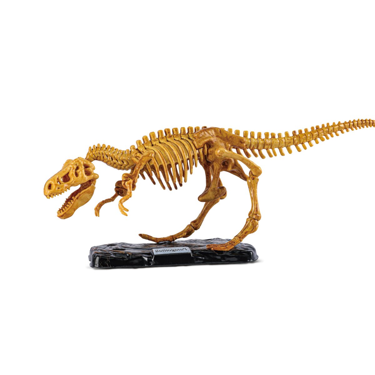 GIANT T - REX DIG SITE - Bamboo Sprout