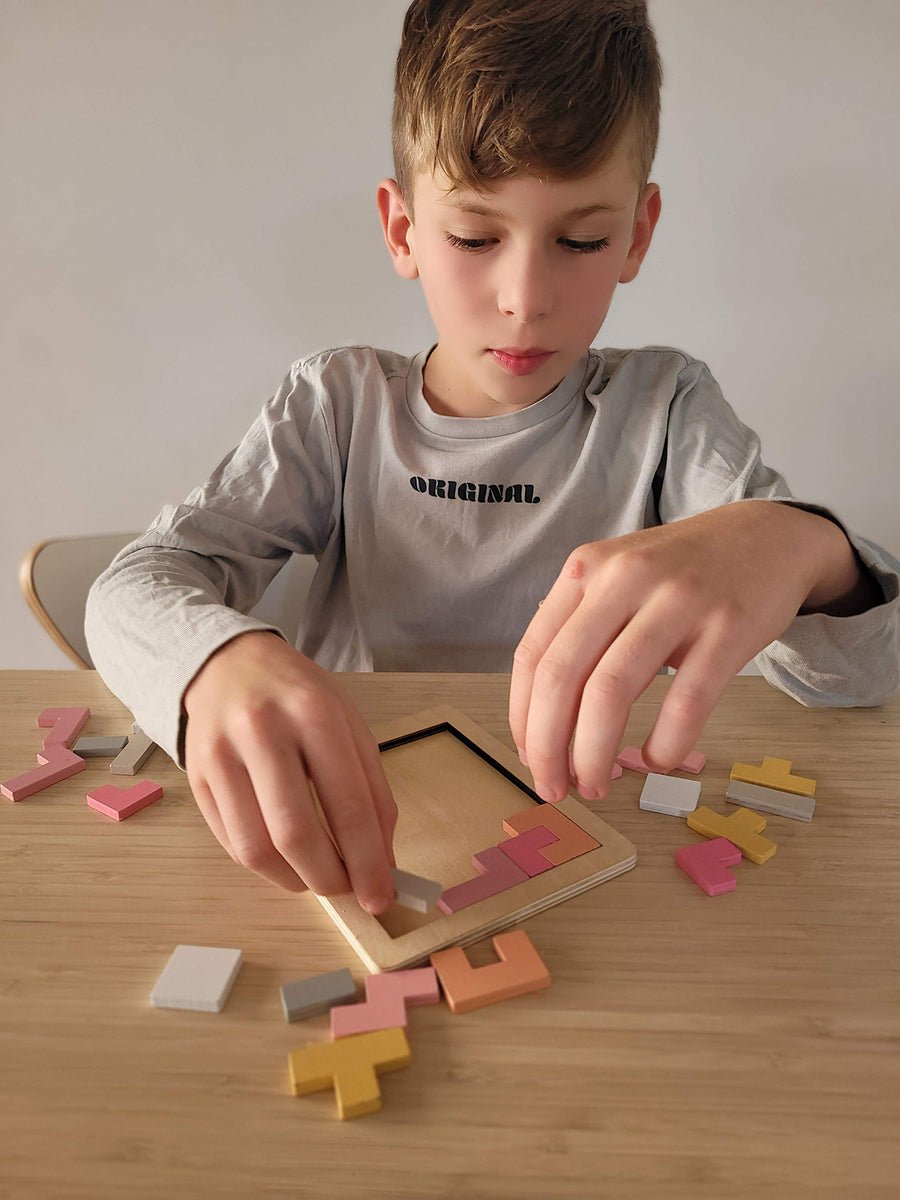 WOODEN HEXAGON & PENTOMINO BRAINTEASER PUZZLE PRICE FOR 6 - Bamboo Sprout