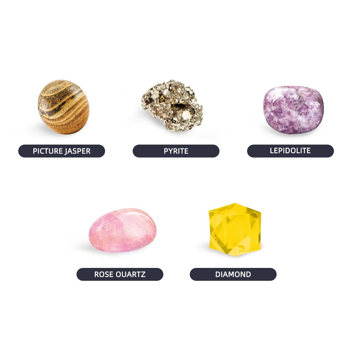 PLANET EXPLORE JUPITER DIG KIT - Bamboo Sprout
