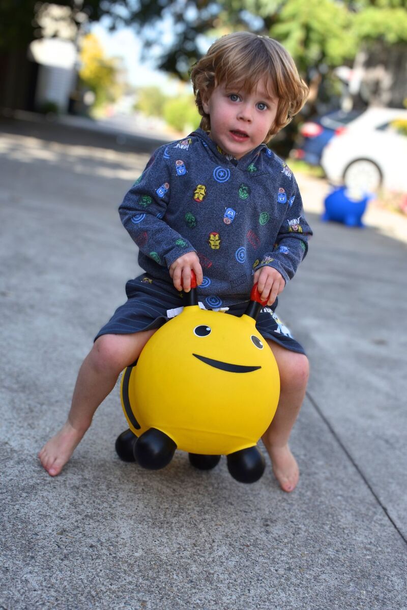 BOUNCY RIDER BUZZY THE BEE - Bamboo Sprout