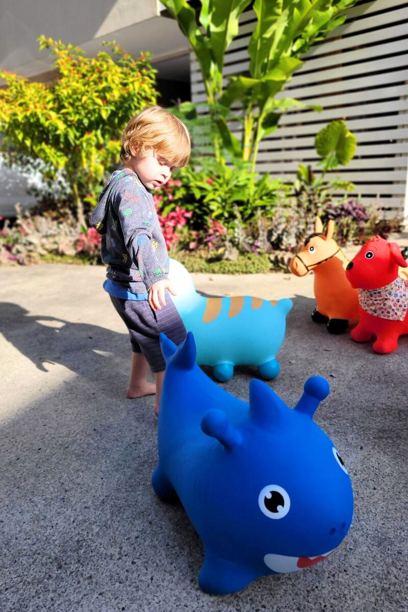 BOUNCY RIDER SPLASH THE SHARK - Bamboo Sprout