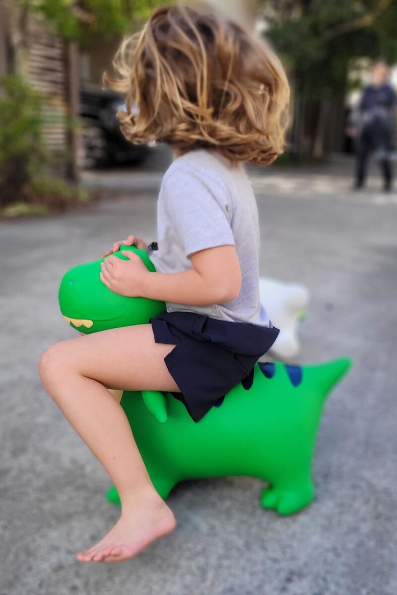 BOUNCY RIDER ZAPPY THE T - REX - Bamboo Sprout