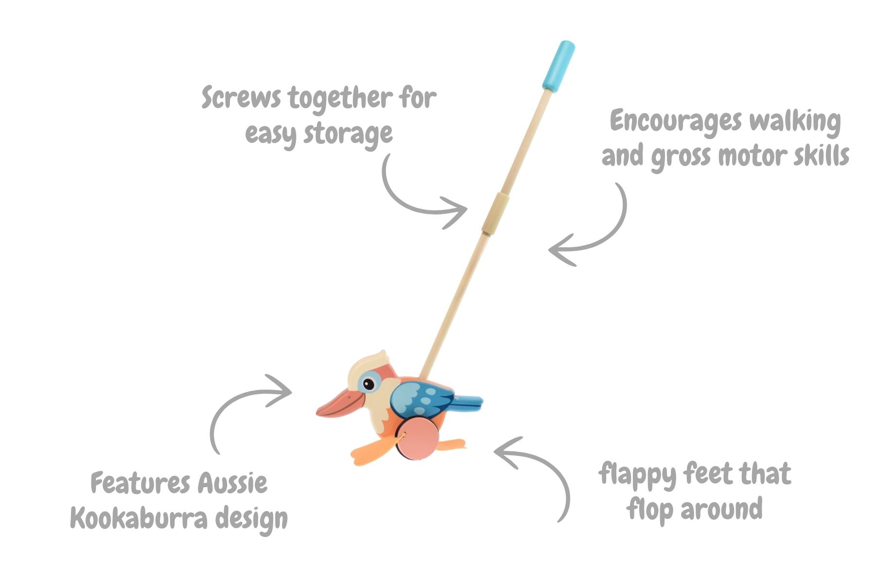PUSH ALONG KOOKABURRA - Bamboo Sprout