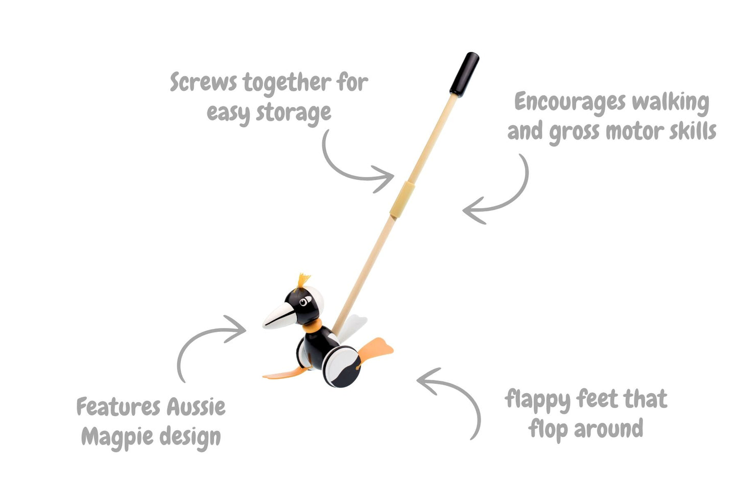 PUSH ALONG MAGPIE - Bamboo Sprout