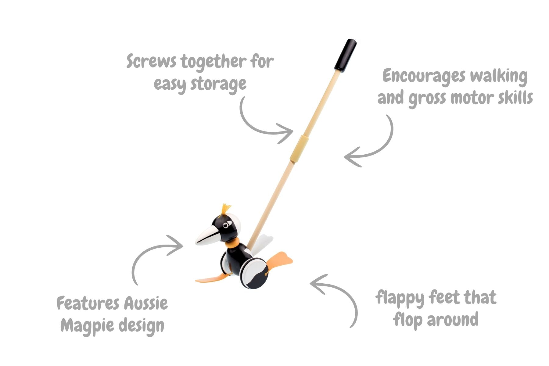 PUSH ALONG MAGPIE - Bamboo Sprout