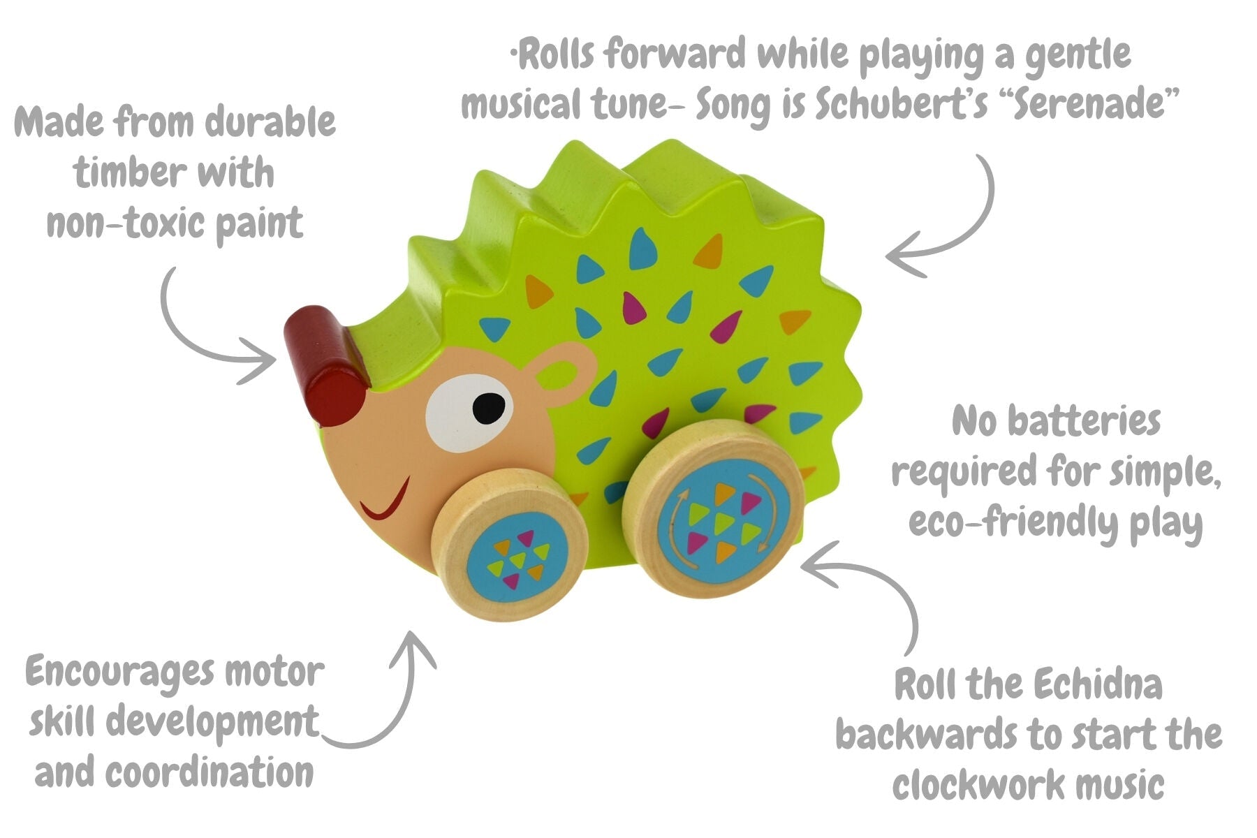 ECHIDNA WIND N WALK MUSIC BOX - Bamboo Sprout