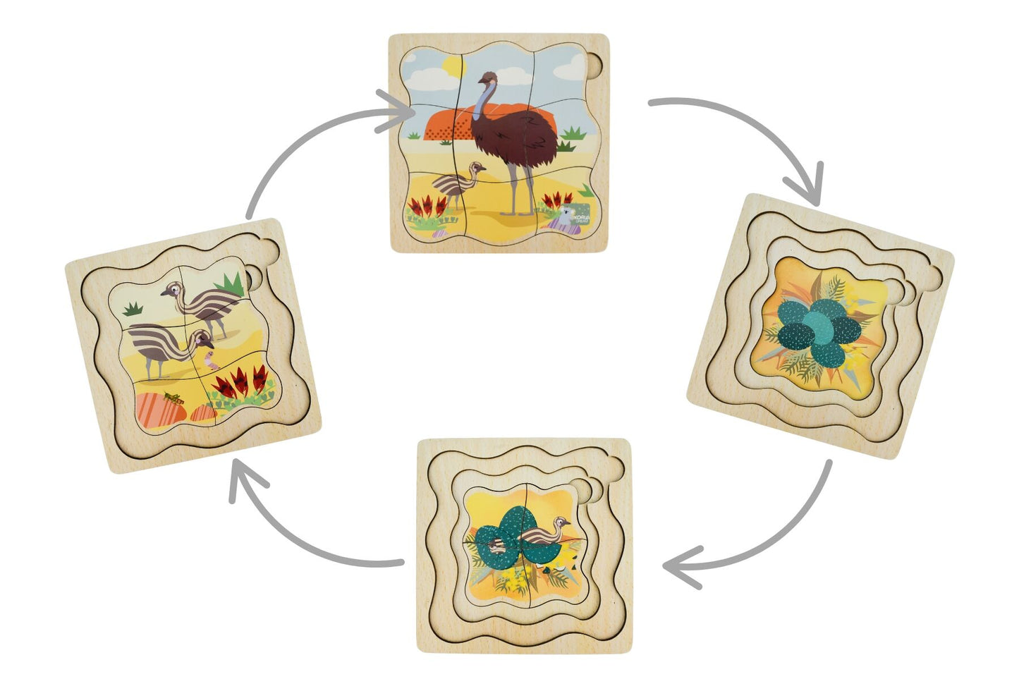 BUSH BUDDIES EMU LIFE CYCLE LAYER PUZZLE - Bamboo Sprout