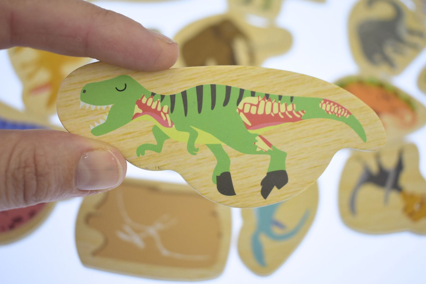 FRIDGE FRIENDS DINOSAURS & PREHISTORIC ANIMALS 25PC - Bamboo Sprout