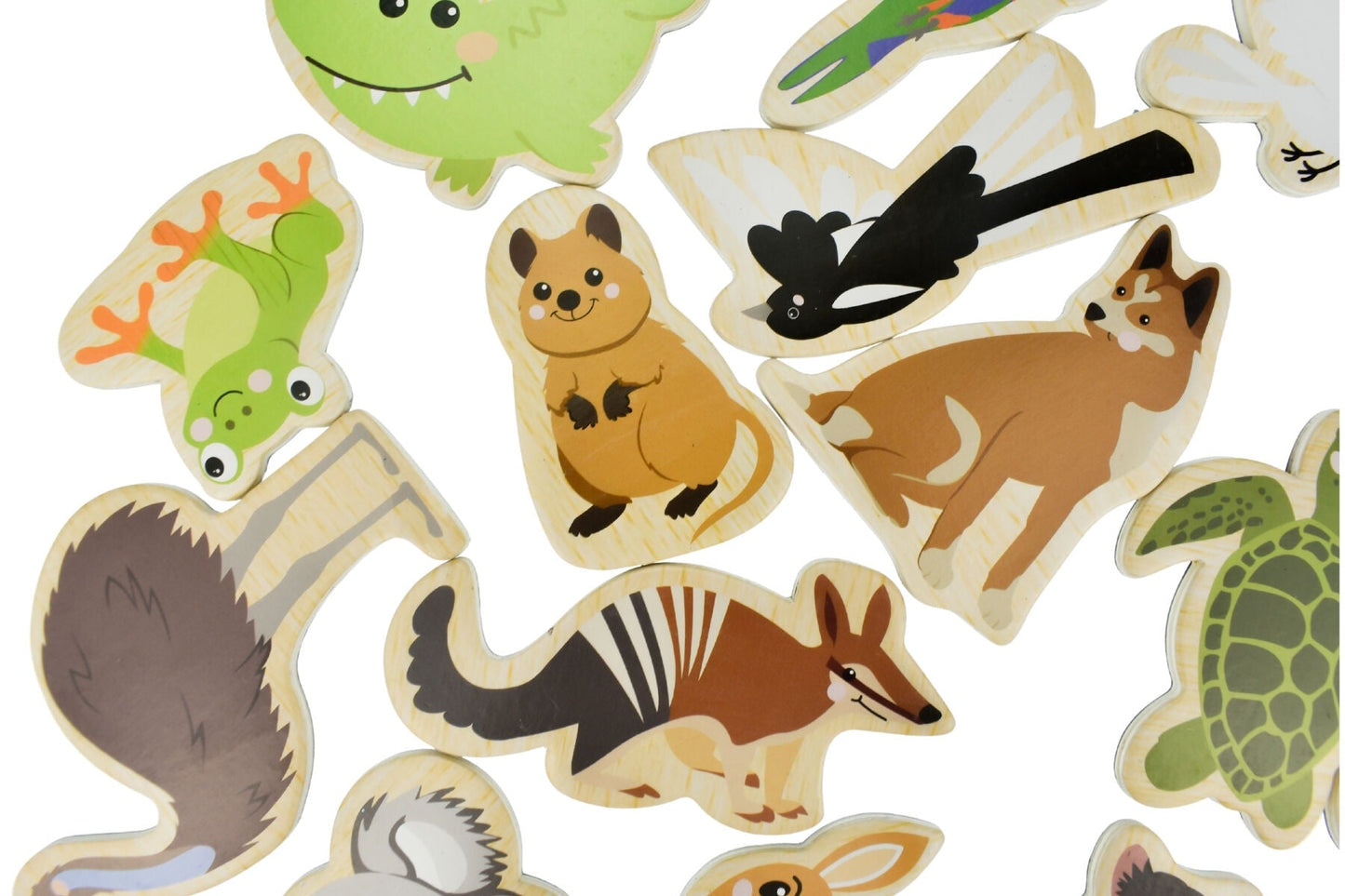 FRIDGE FRIENDS MAGNETIC AUSTRALIAN ANIMALS 25PCS - Bamboo Sprout