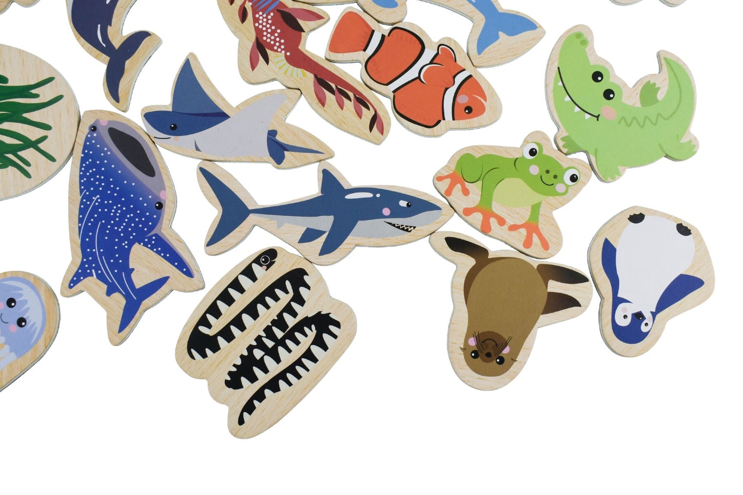 FRIDGE FRIENDS MAGNETIC AUSTRALIAN SEA ANIMALS 25PCS - Bamboo Sprout
