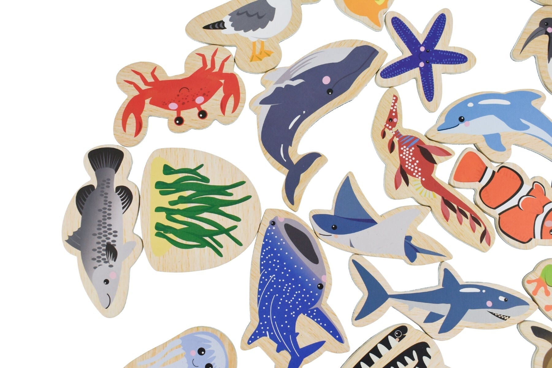 FRIDGE FRIENDS MAGNETIC AUSTRALIAN SEA ANIMALS 25PCS - Bamboo Sprout
